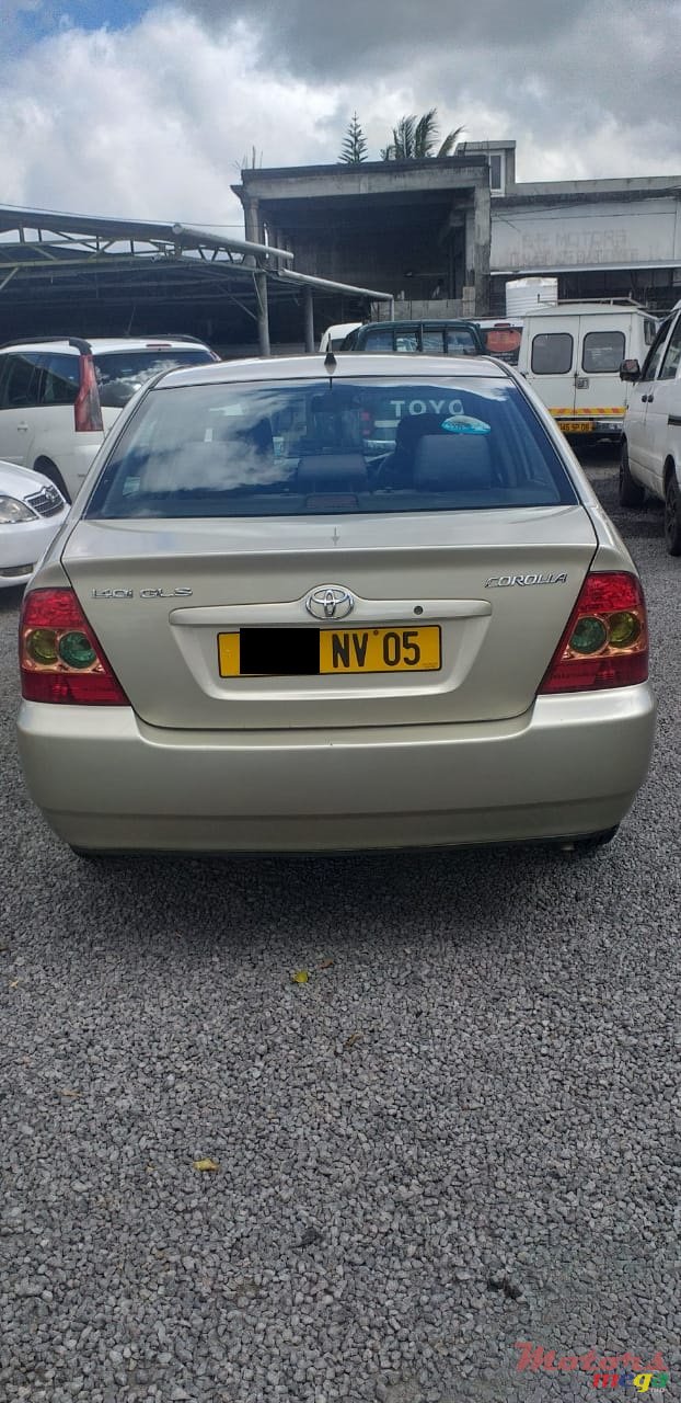 2005' Toyota Corolla NZE photo #5