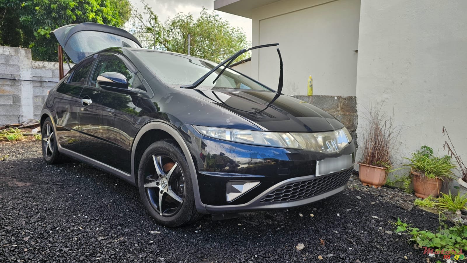 2008' Honda Civic photo #5