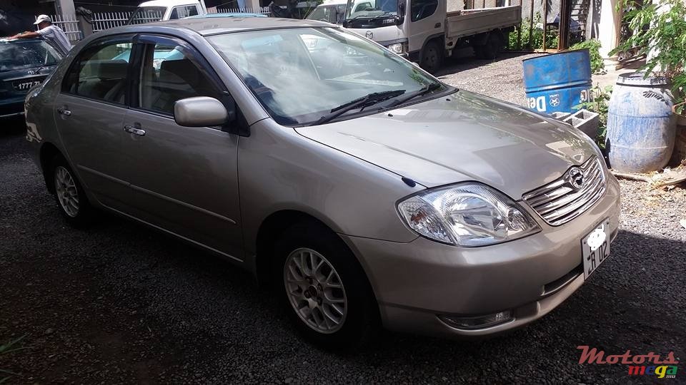 2002' Toyota Corolla NZE photo #2