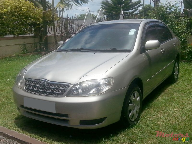 2001' Toyota Corolla nze photo #1