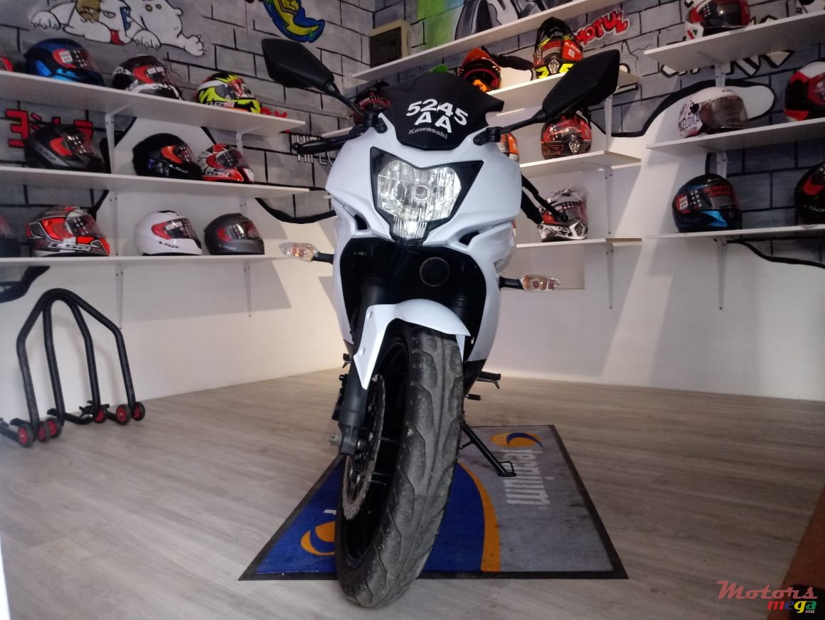 2013' Kawasaki photo #3