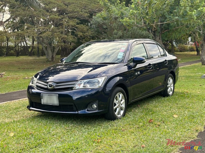 2013' Toyota Axio photo #2