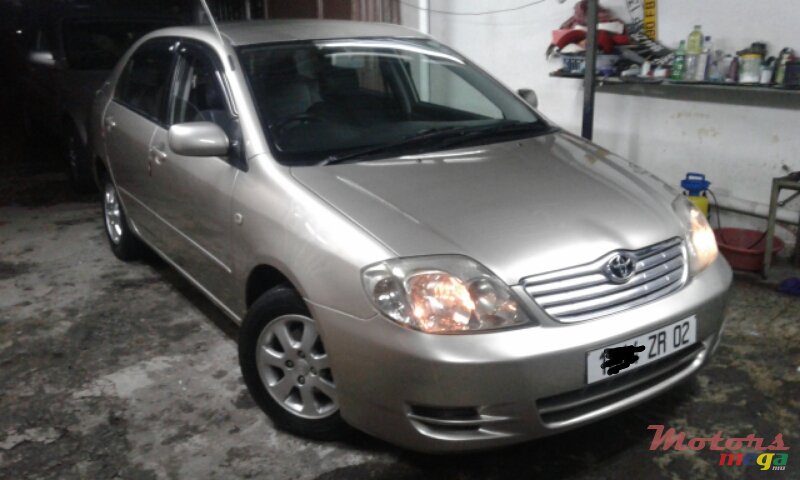 2002' Toyota Corrolla NZE photo #1