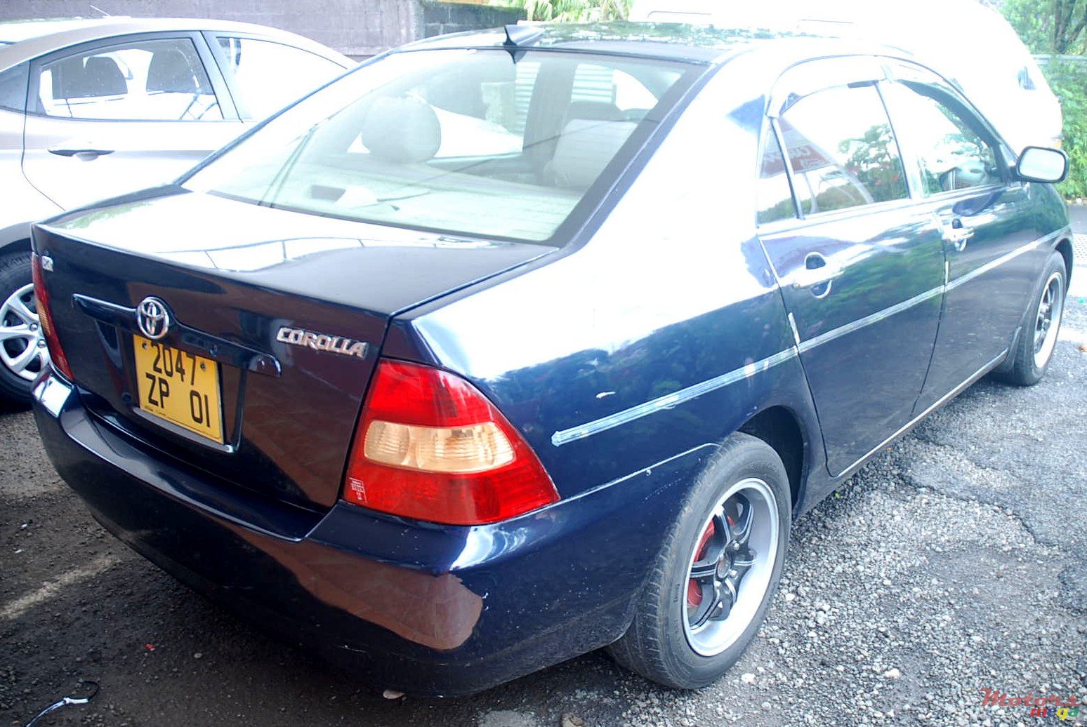 2001' Toyota Corolla photo #1