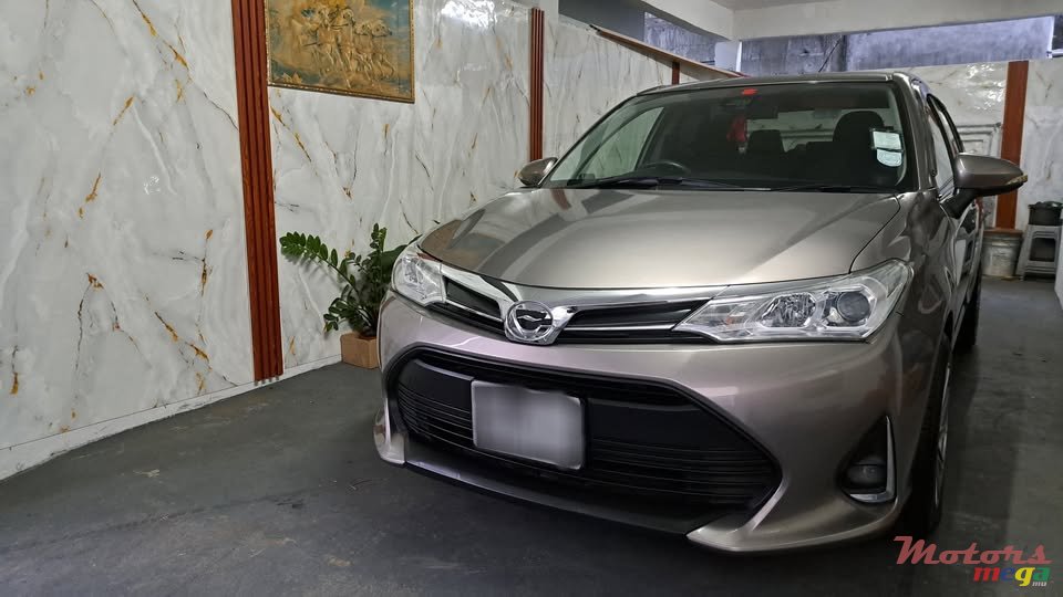 2019' Toyota Axio photo #1