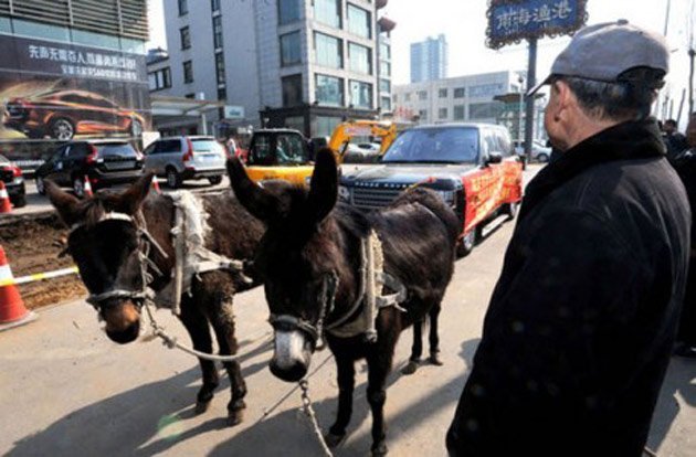 Angry Chinese driver tows Range Rover back to dealer with donkeys